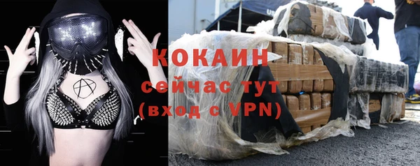 гидра Абаза