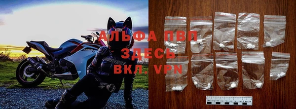 гидра Абаза