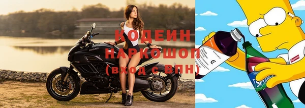 гидра Абаза