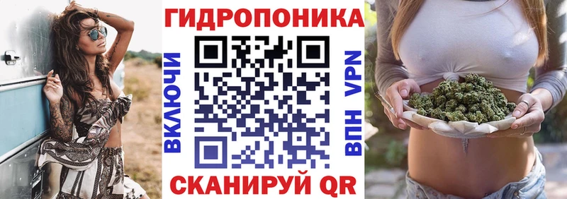 Марихуана планчик  Зверево 
